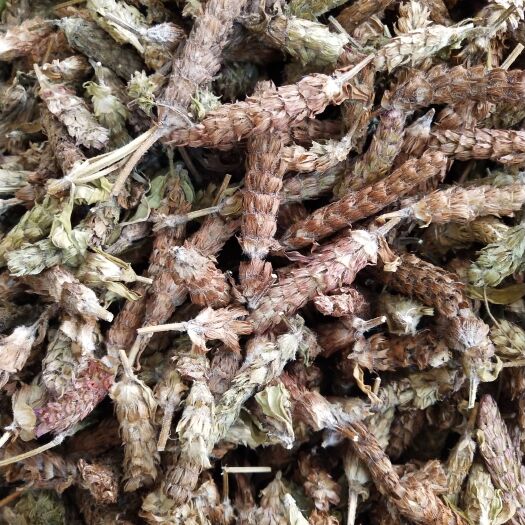 玉林夏枯草  夏枯球