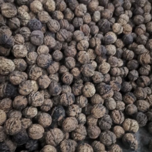 昌宁县泡核桃  云南精品核桃