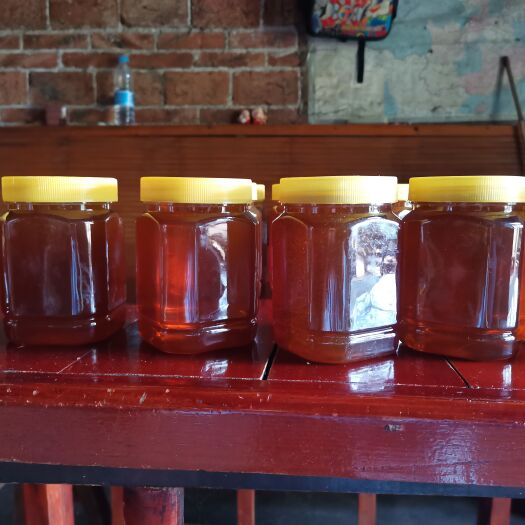 江华县枇杷蜜  枇杷花蜂蜜