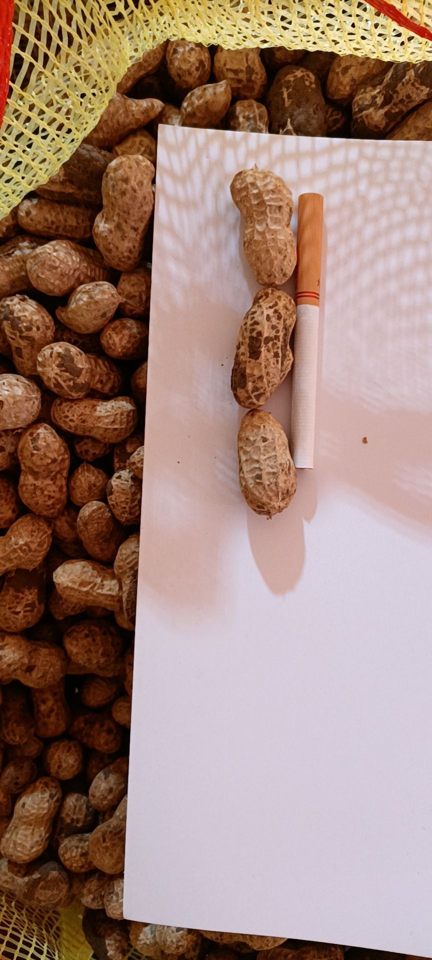 鲁花系列  鲜花生，罗汉果，鲁花八号四粒红鲜花生