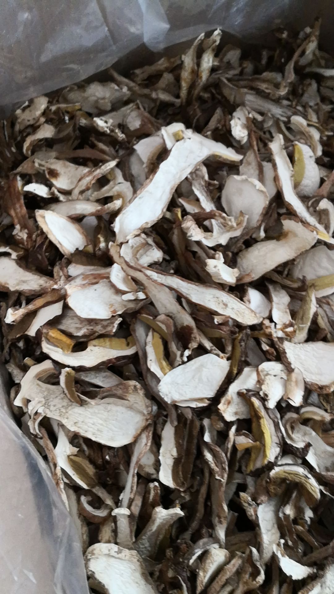 美味牛肝菌 干牛肝菌