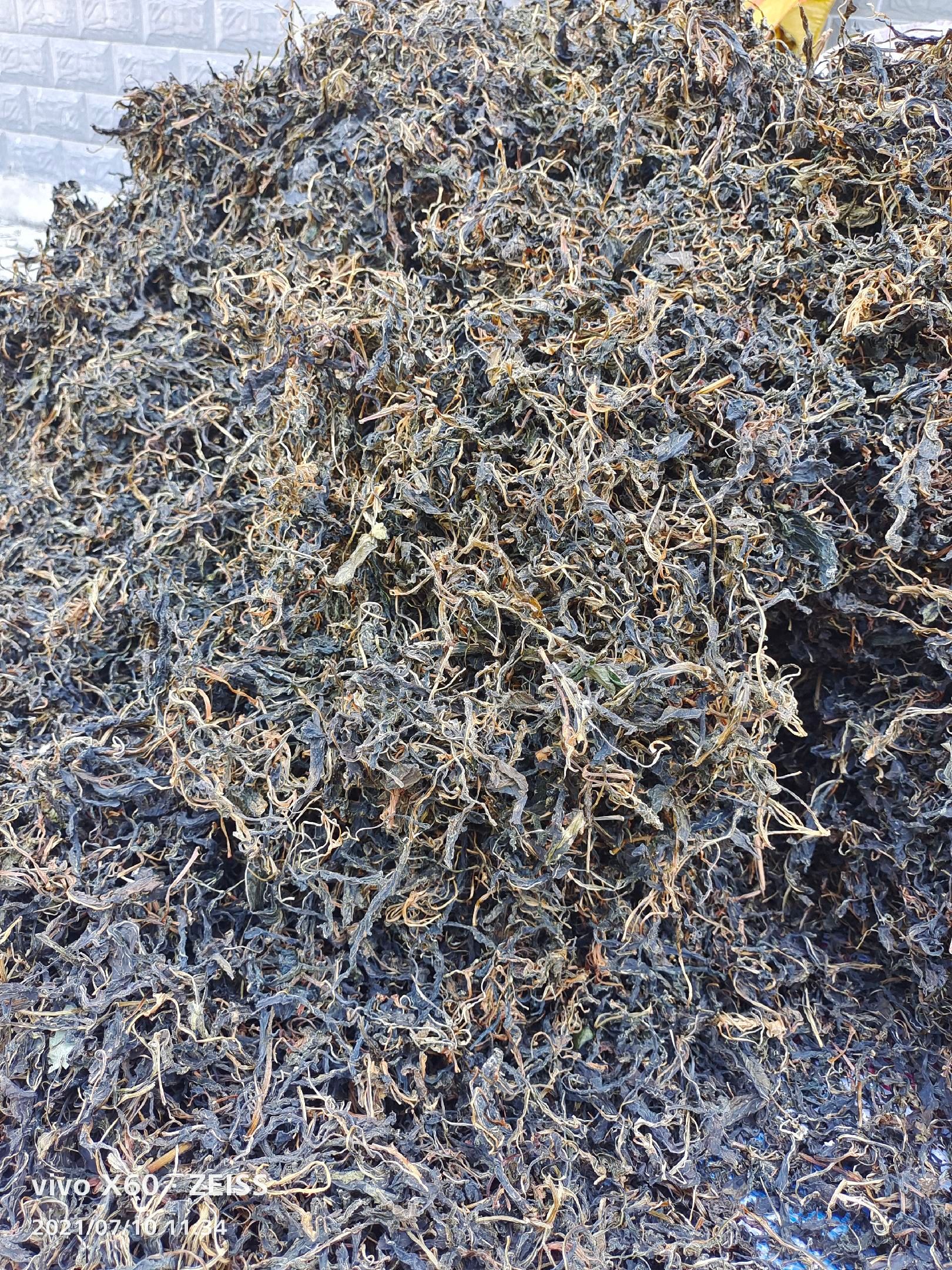粤北特产，苦斋菜，有机苦斋菜，煲汤靓，煲粥正。