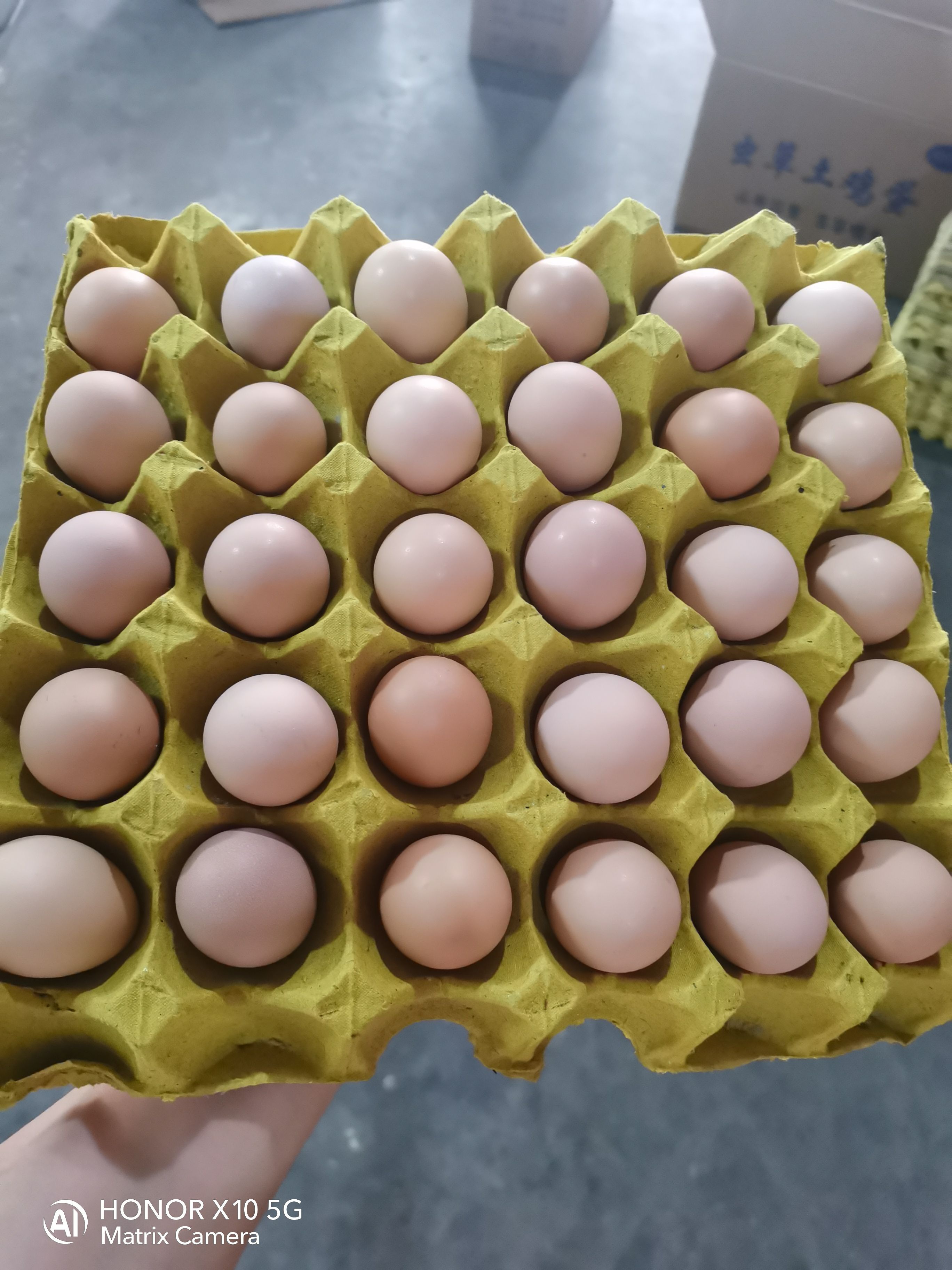 初生蛋  小粉蛋24.28.斤，：360个