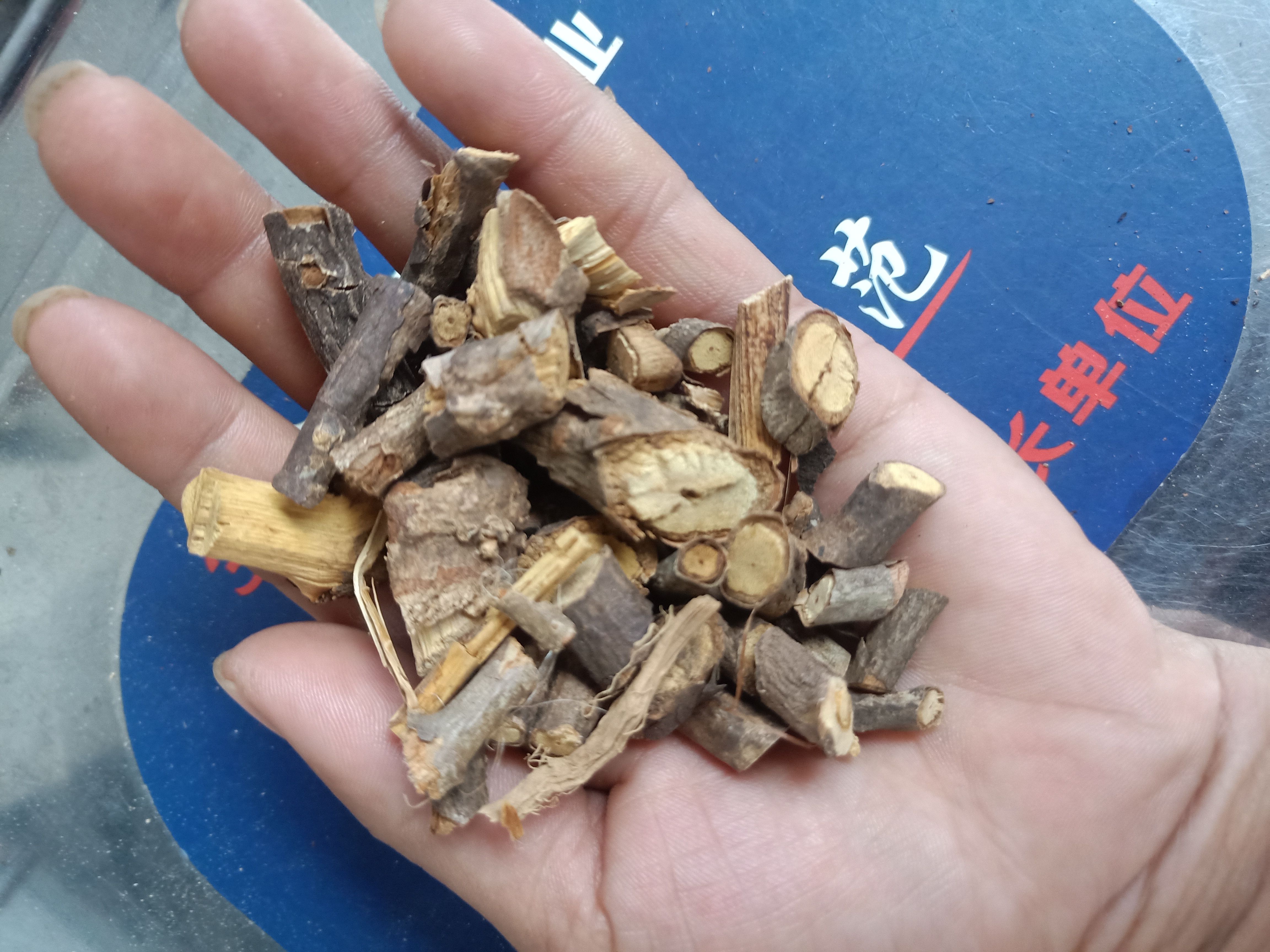 云南普洱大山里的生藤别名羊角藤、冷水发汗_干货