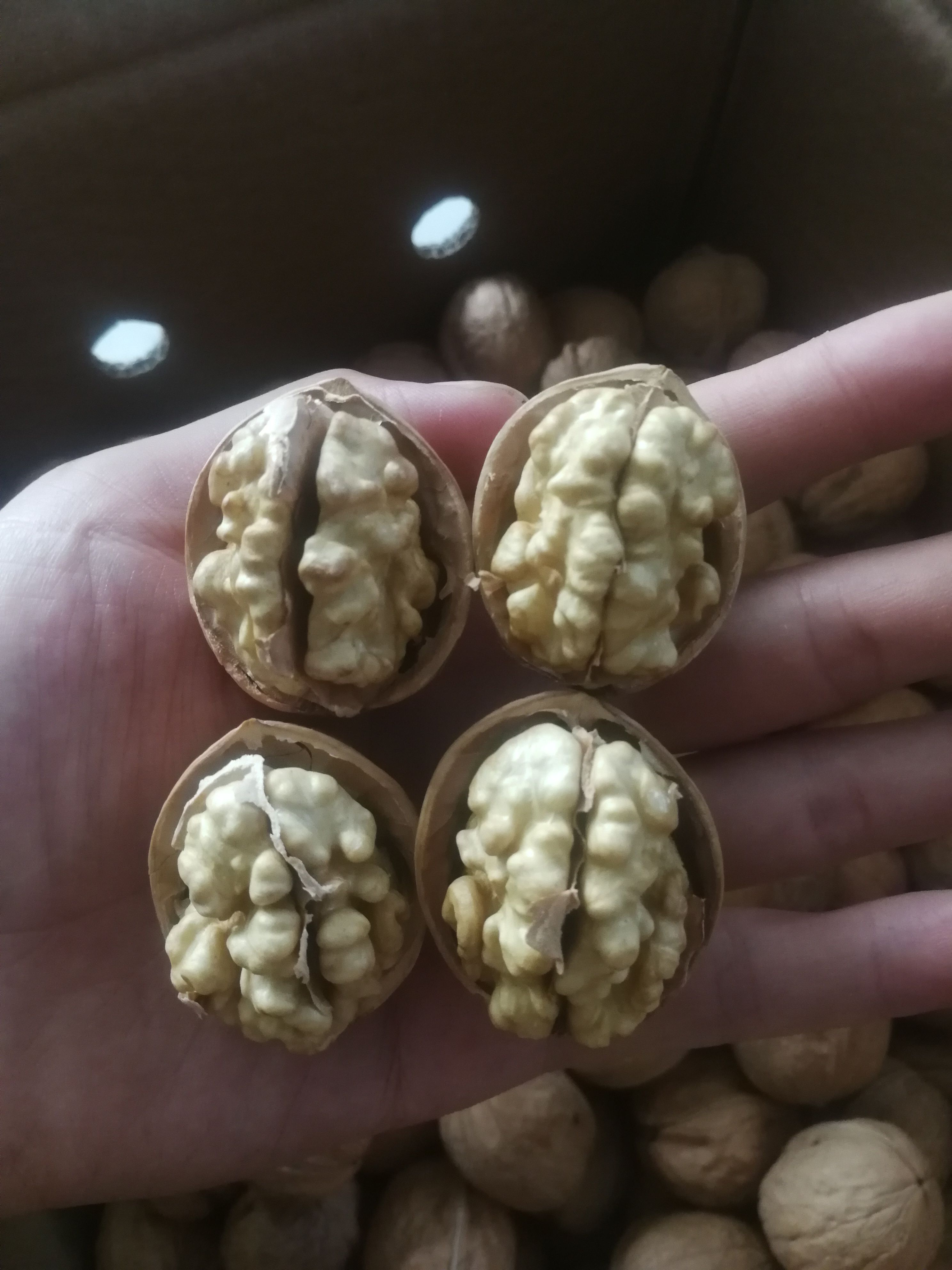 23年新货，阿克苏185纸皮核桃，个大皮薄果肉饱满，批发