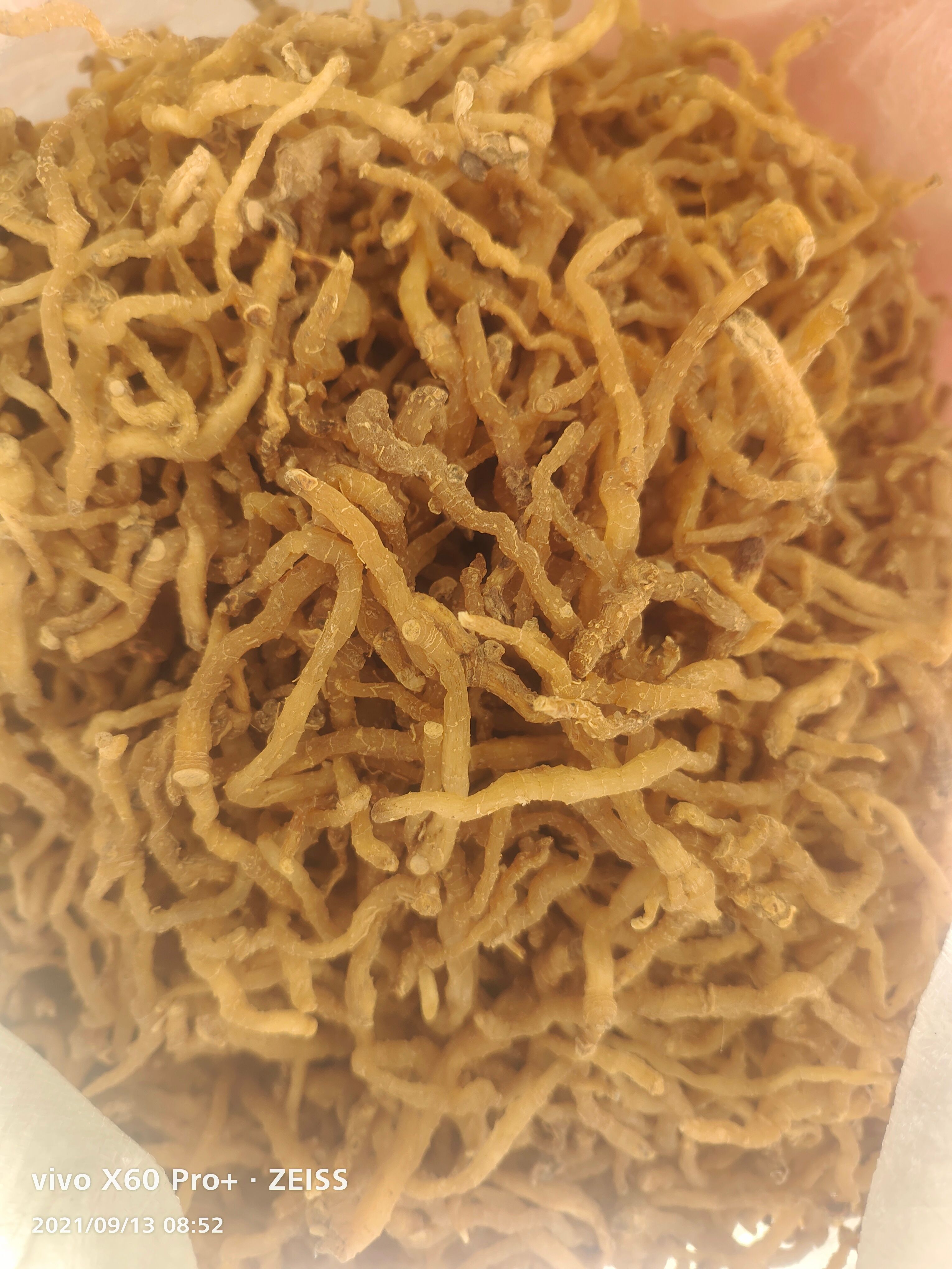 湖北本地玉竹条干品统货，精挑规格齐全，一手货源，包邮