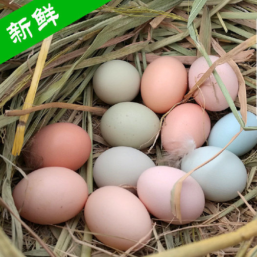 石门县土鸡蛋 中码蛋 粉壳   绿壳 土鸡蛋