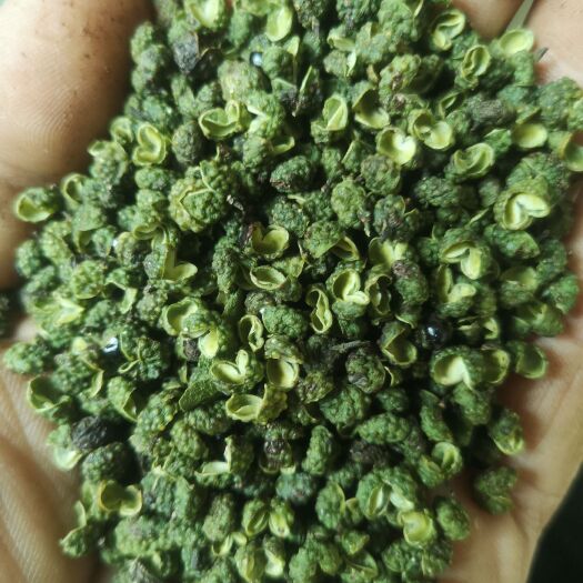 汉源县汉源青花椒 当季新货 颗粒饱满 油腺突出 按需分级筛选