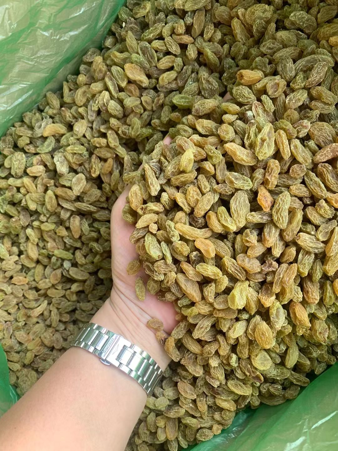新疆吐鲁番市葡萄干 整箱散装20斤大量批发一手货源