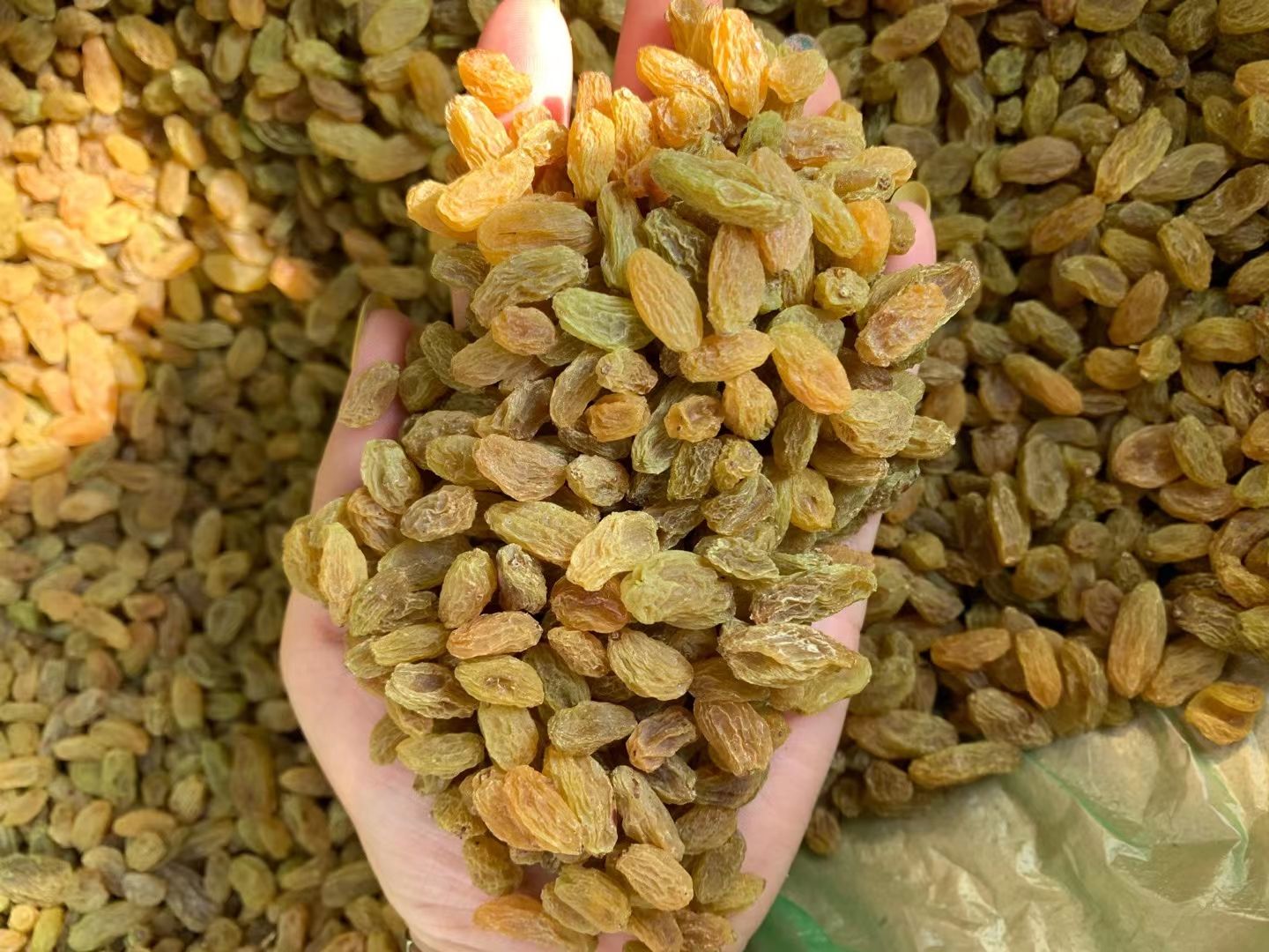 新疆吐鲁番市葡萄干 整箱散装20斤大量批发一手货源