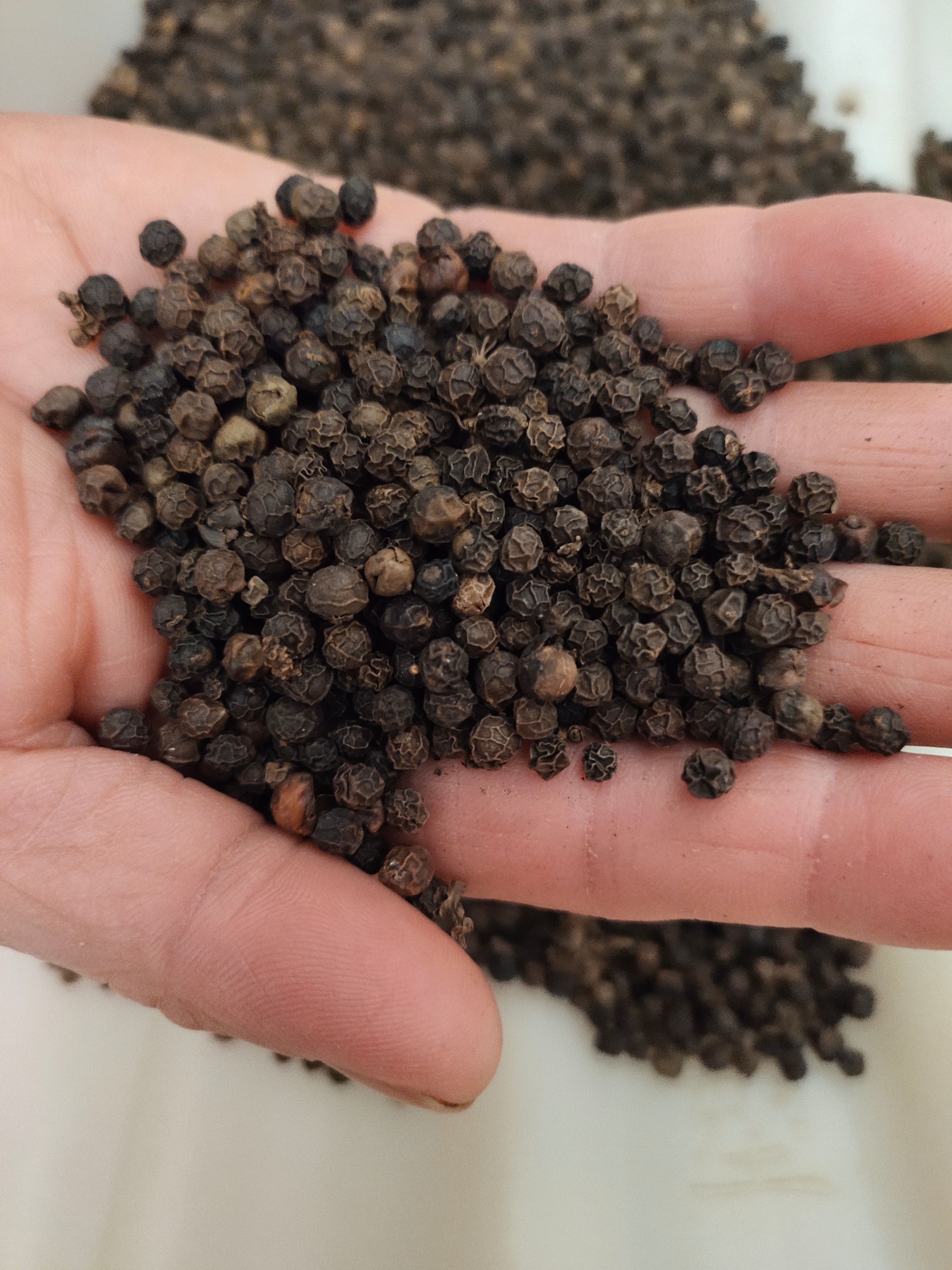 黑胡椒 白胡椒 香料批发