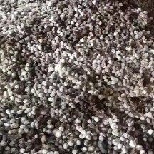 盐城养殖场羊粪，发酵羊粪有机肥，提供有机认证！