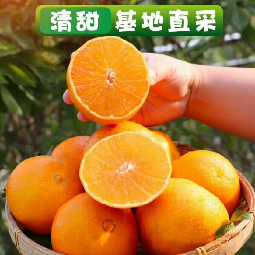 眉山爱媛橙  四川眉山丹棱爱媛38号果冻橙批发包邮当季新鲜水果