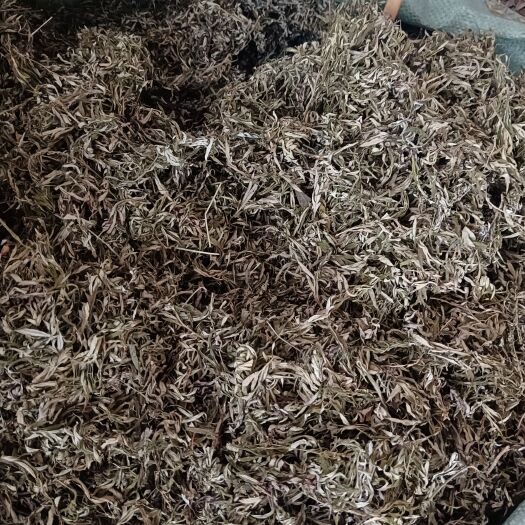 艾叶别名草干艾草艾条艾灸泡澡艾绒艾蒿蕲艾、艾萧