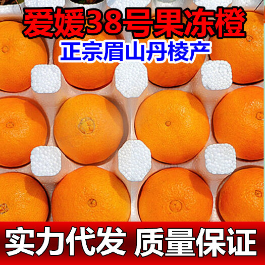 眉山爱媛橙  四川丹棱爱媛38号果冻橙柑橘桔子新鲜水果爆汁甜多规