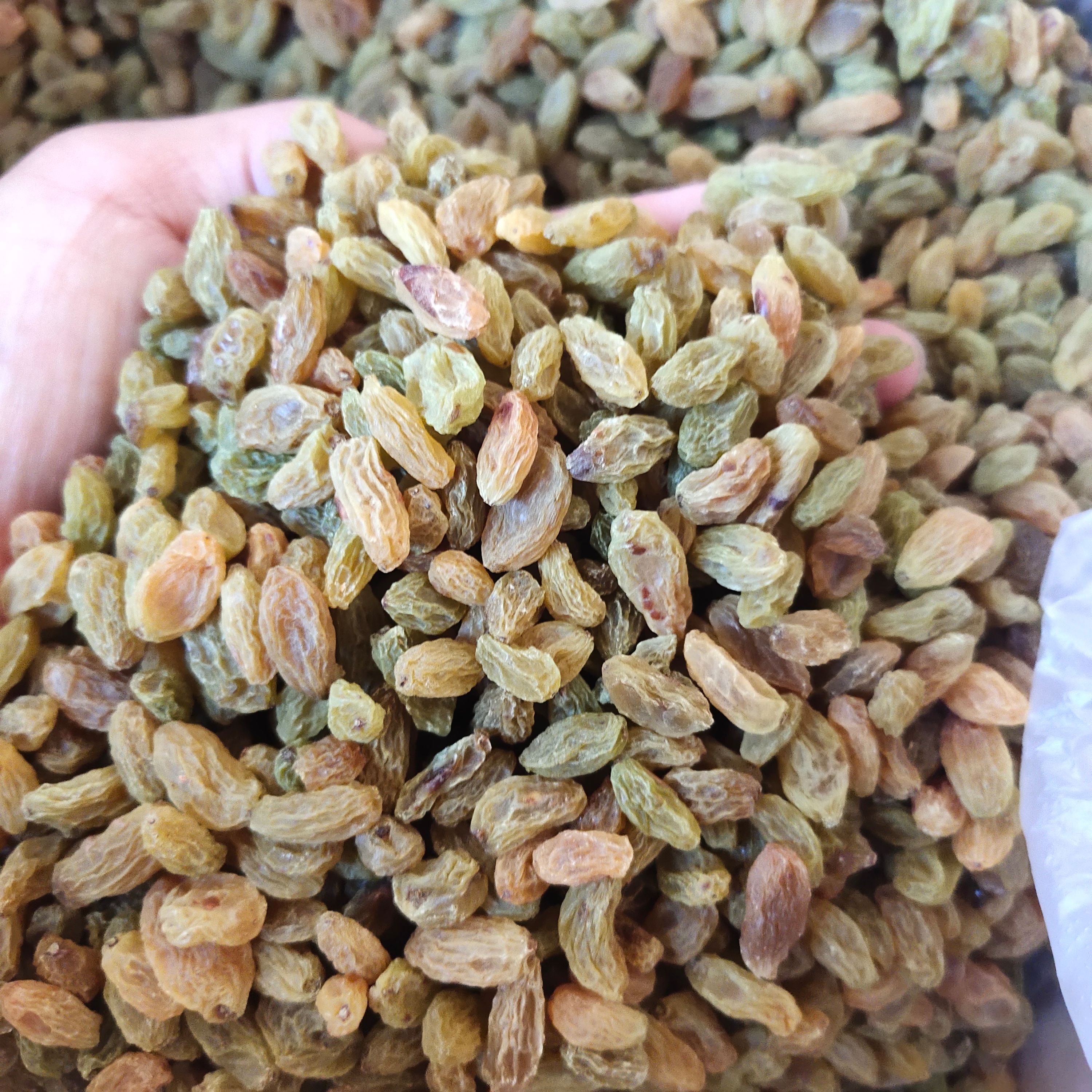 新疆吐鲁番市葡萄干 整箱散装20斤大量批发一手货源