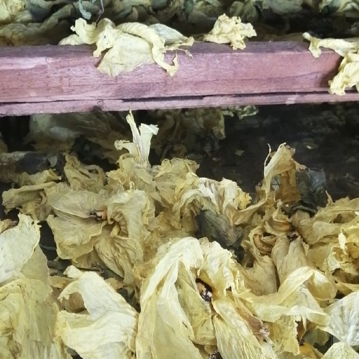 天门市黄蜀葵干花