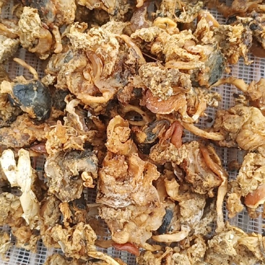 海兴县配合饲料  饲料扇贝边用于螃蟹，龙虾，大虾，金刚虾，对虾男美