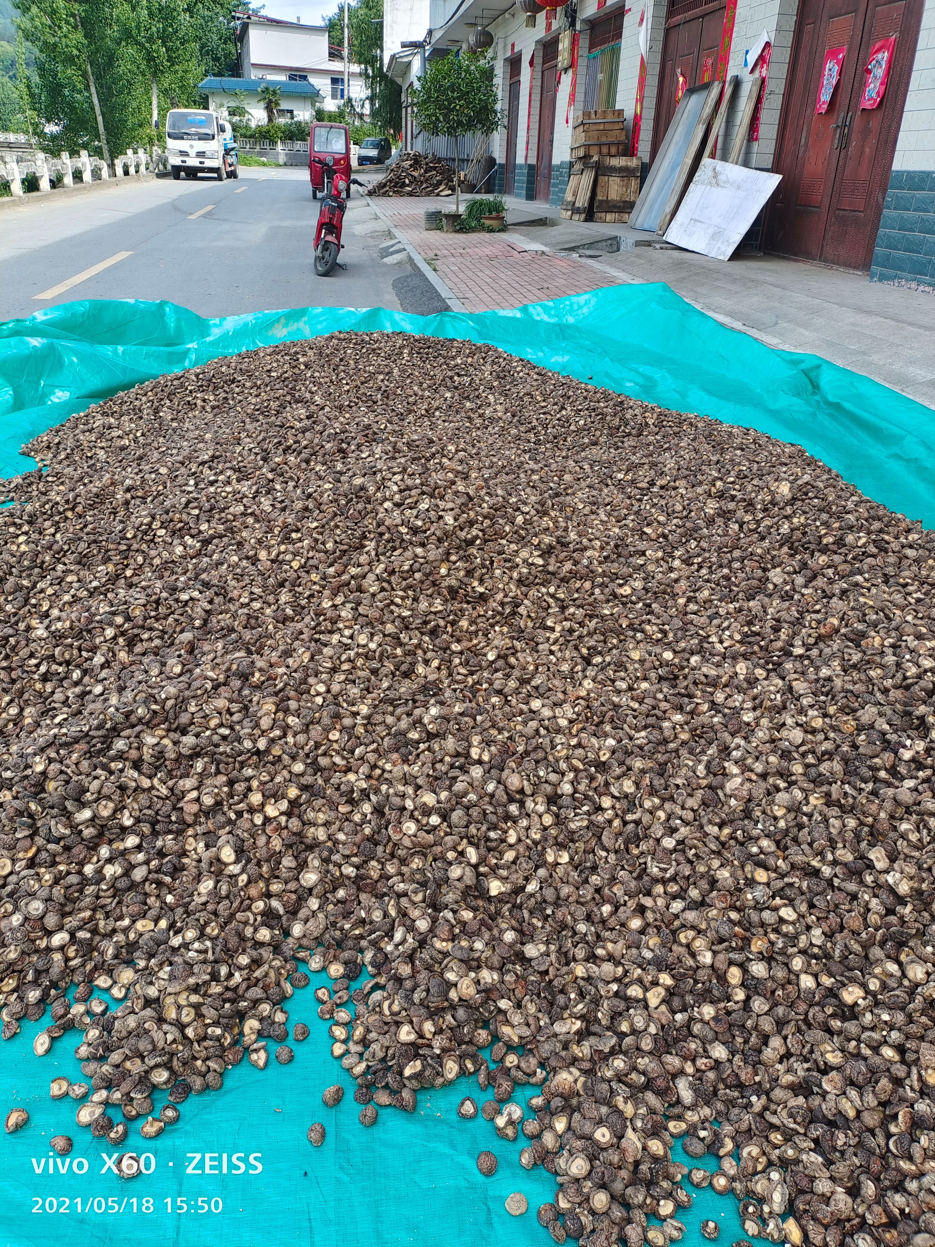 干香菇，小白花菇河南产地一手货源，带客户买货+加工成品