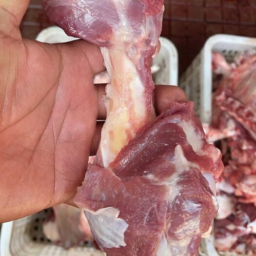 河间市羊肉类 加肉羔羊棒骨
