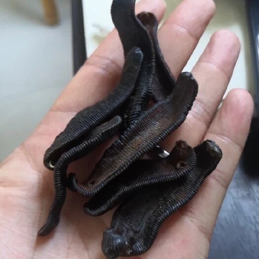 宿迁水蛭干  纯清水吊杆，大统货，选装货都有