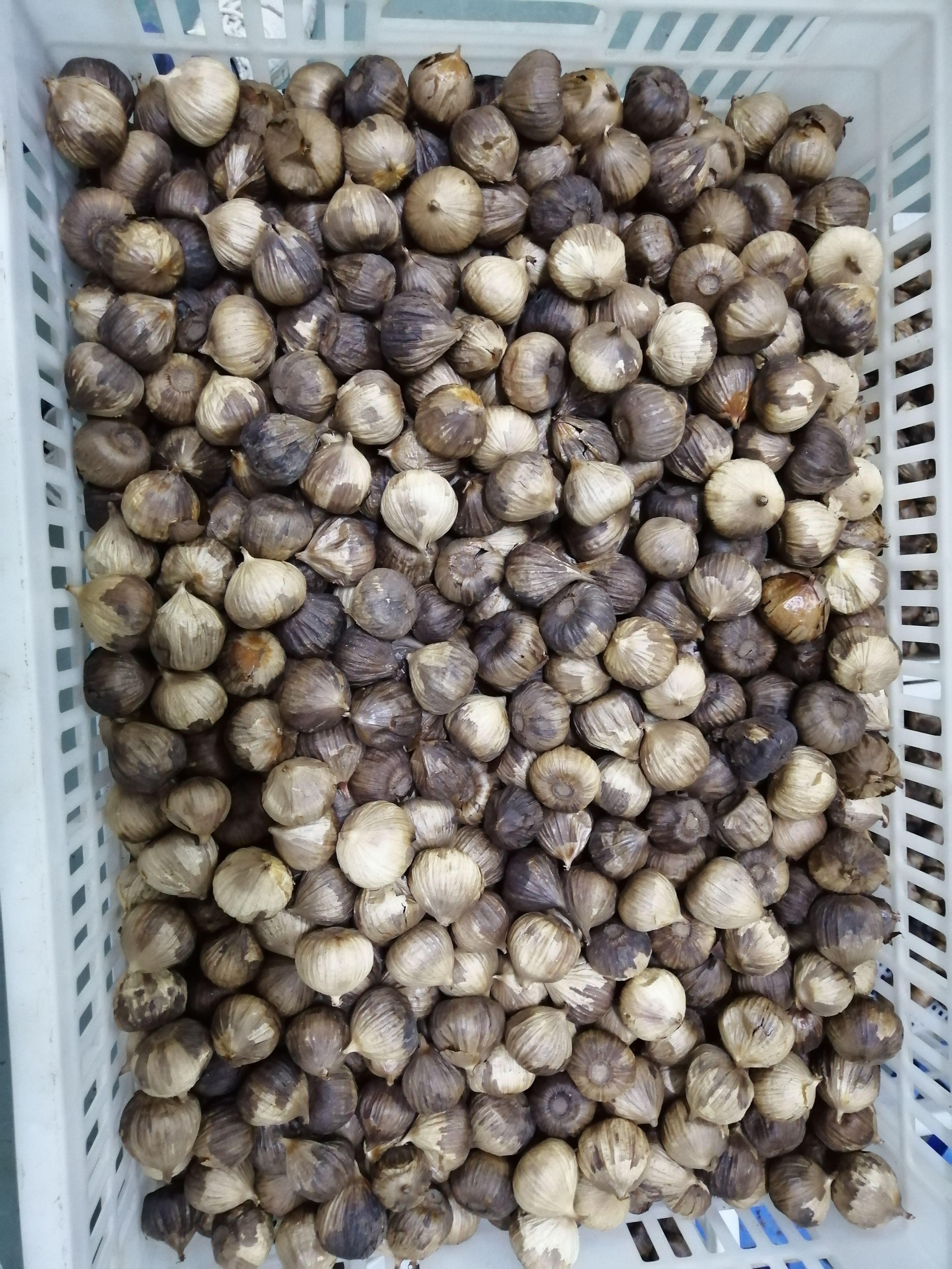 独头黑蒜   营养品