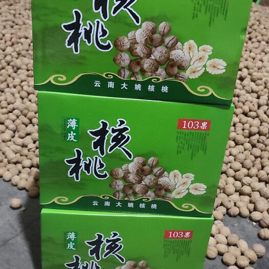 纸皮核桃  大姚103果薄皮核桃