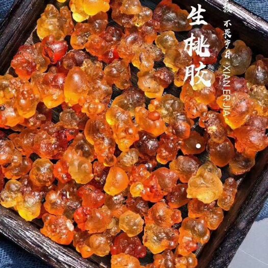 麻阳县 黄桃树上的桃胶，黄色的