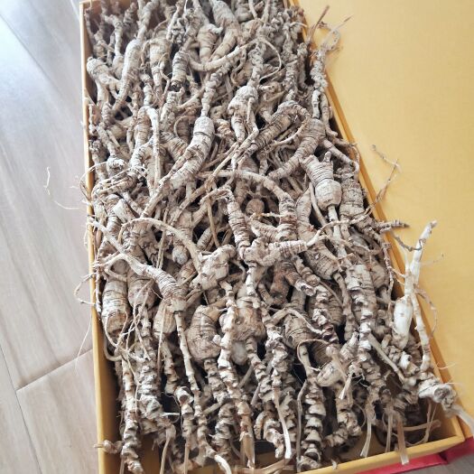 桓仁县40年山参干品