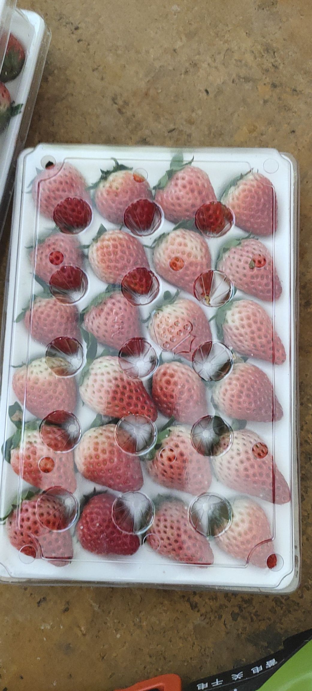 草莓 安徽省宿州市泗县 