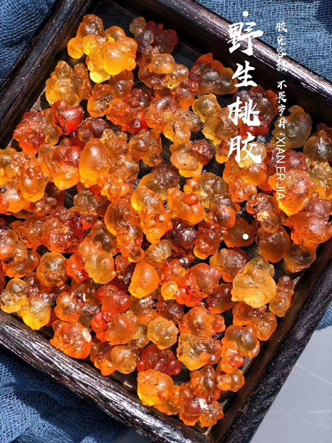 黄桃树上的桃胶，黄色的