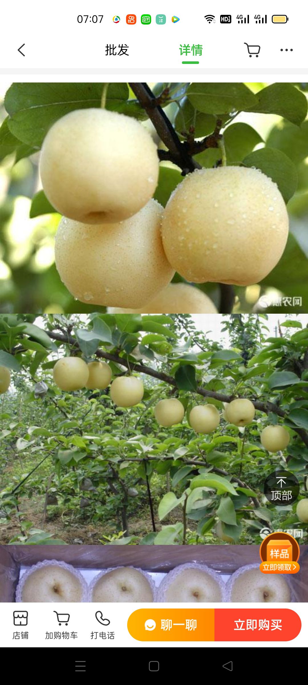 皇冠梨  黄冠梨，鸭梨，雪花梨