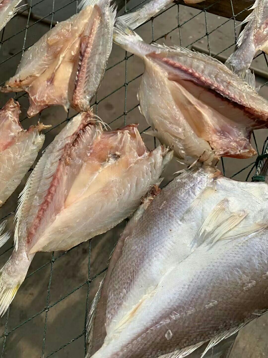 精品黄花鱼干  优质黄花鱼干