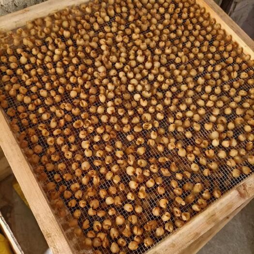 玉林桂圆肉 广西桂元肉