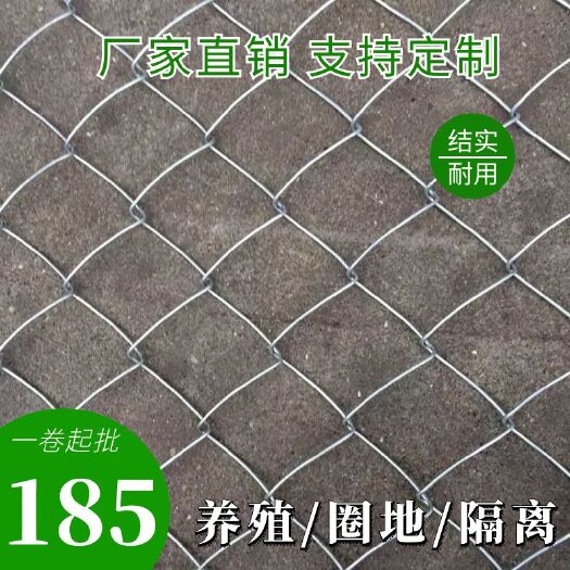 安平县荷兰网  热镀锌防锈勾花网铁丝网圈鸡鸭网围栏网防护网菱形网球场隔离网