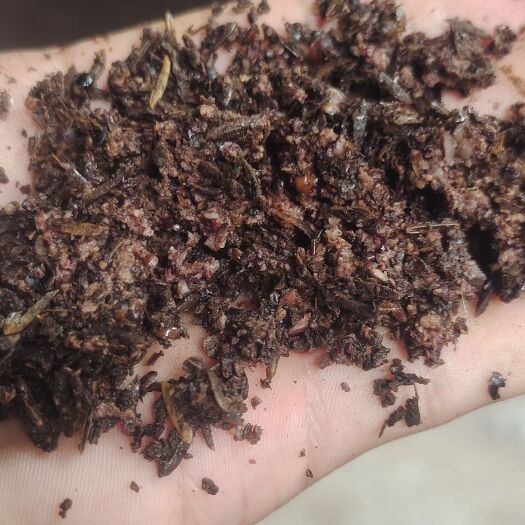 仁怀市 茅台镇酱香型酒糟
