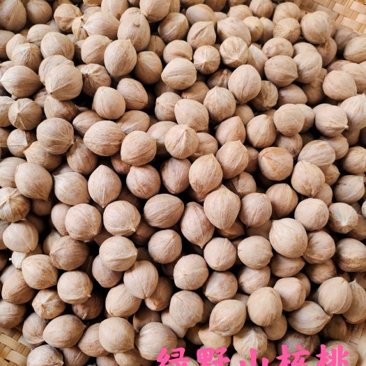 会同县山核桃老树核桃批发走车量大价优