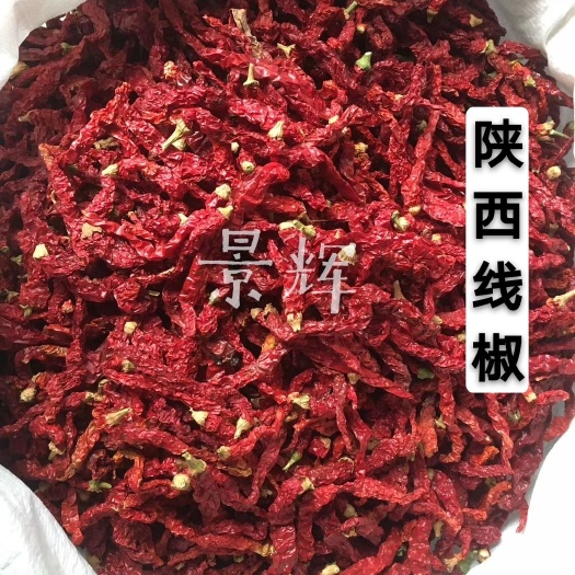 中牟县干线椒  精品线椒 红辣椒 微辣增香 干辣椒 出红油上色专用