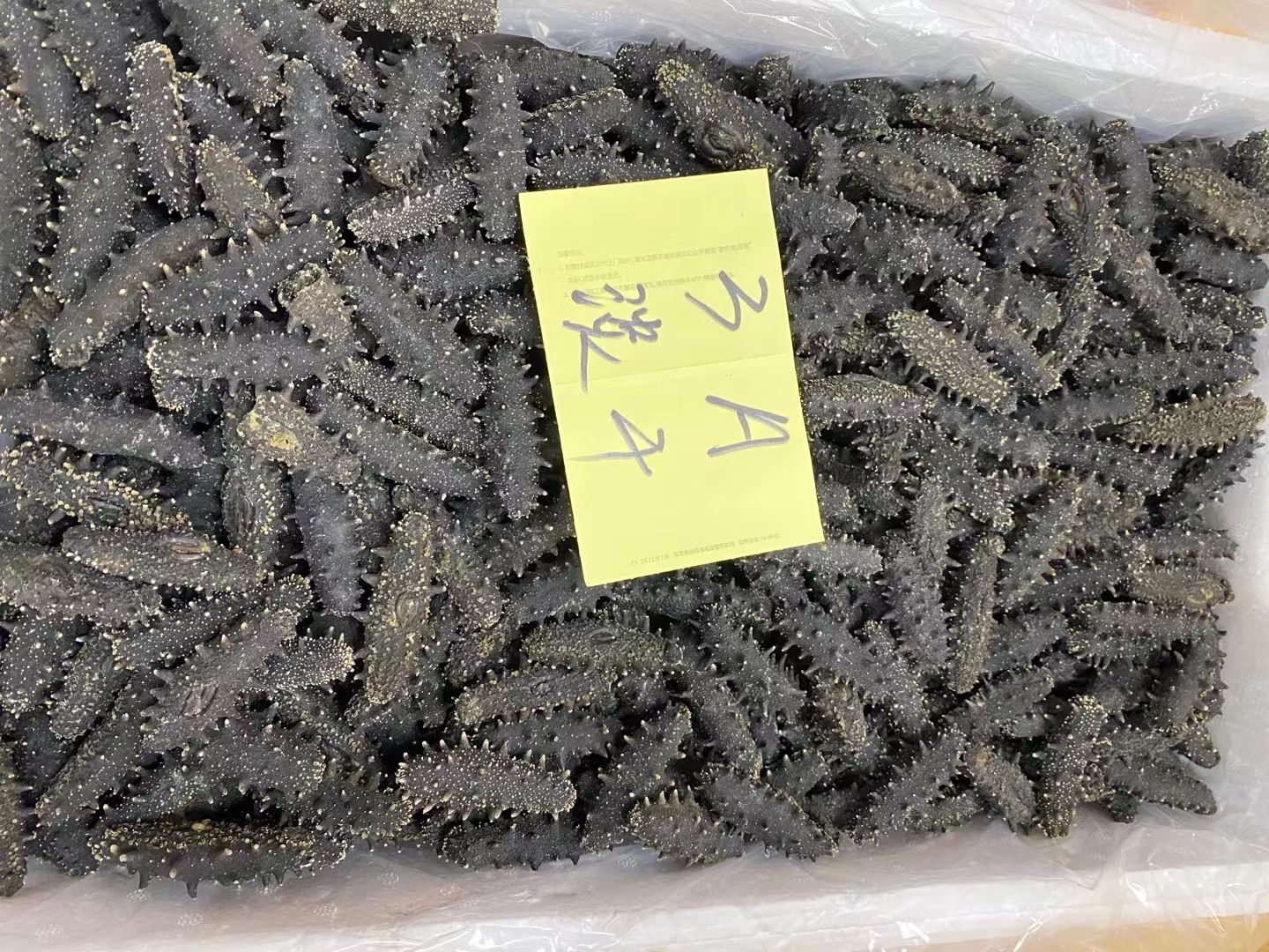 海参干  一手批发3A大连淡干辽参30-60头规格