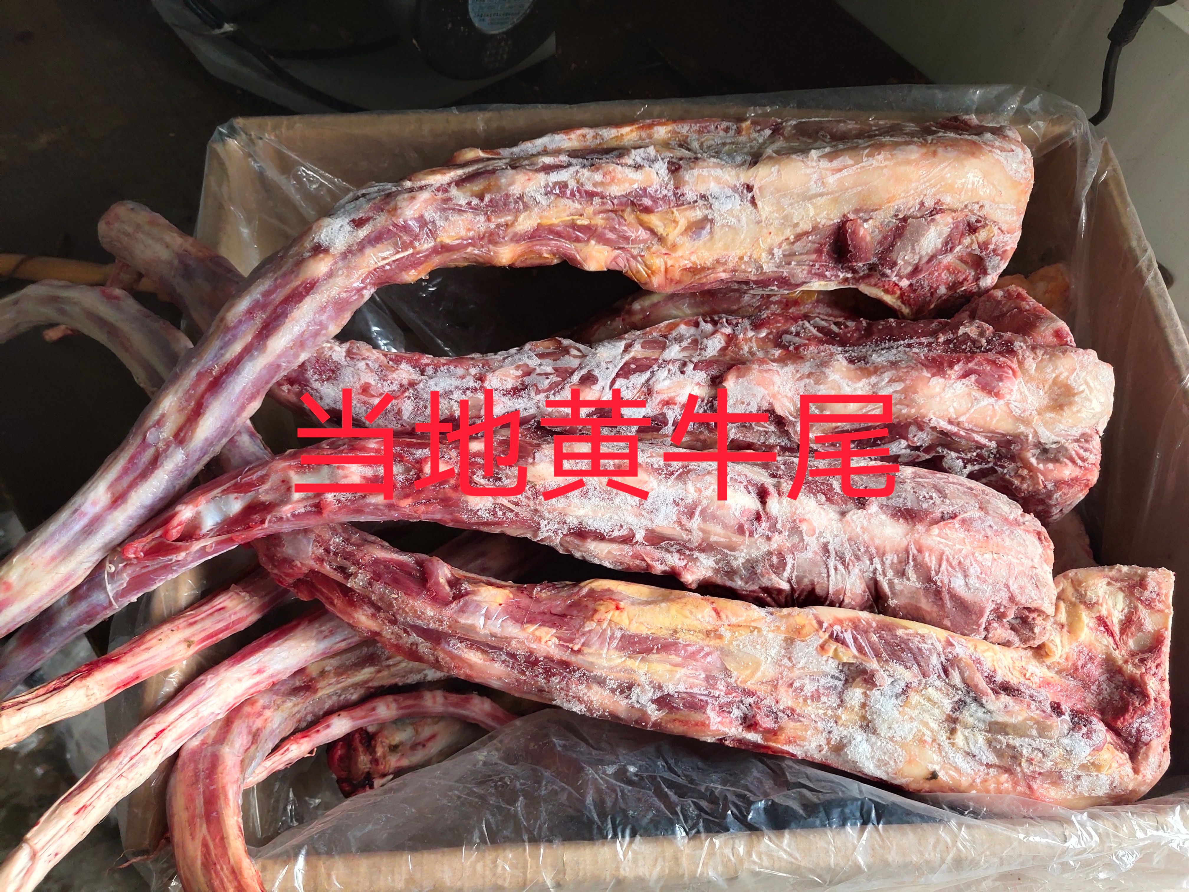錫林浩特【牛尾】黃牛的帶根！免費加工劇段！全國接單！