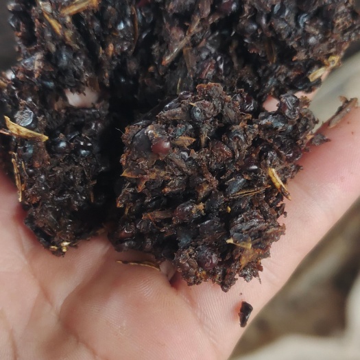 仁怀市大量出售茅台镇酱香型，捆籽，白酒糟，厂家直发，品质保证，