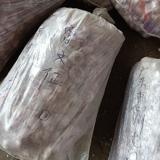 丰县 精品大蒜，质量好，价格低，可做种蒜，做蒜米