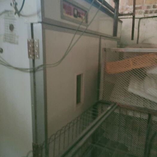 养殖孵化机 鸡蛋孵化箱