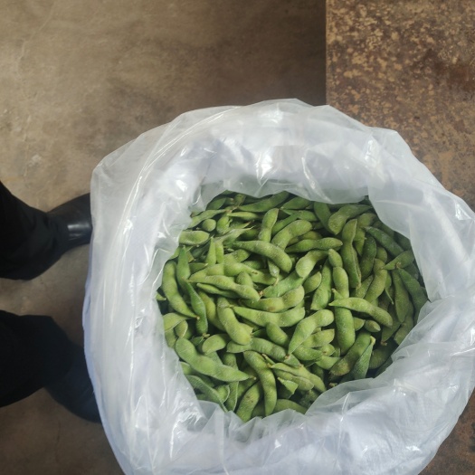 滕州市冷冻毛豆