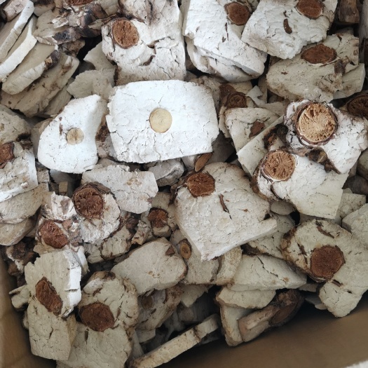 景谷县茯神 中药材茯苓