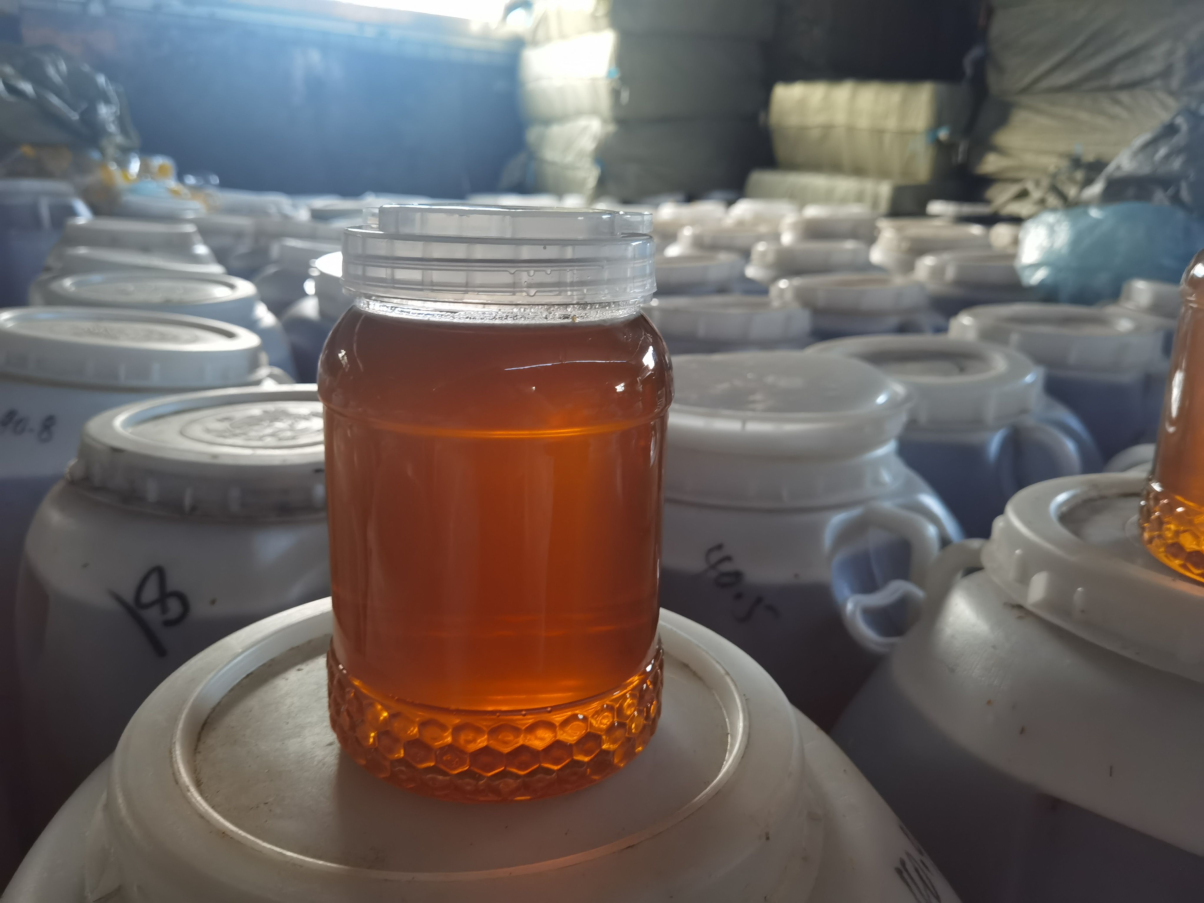 椴树蜜   饶河黑蜂椴树蜂蜜 2023年原蜜自家蜂场自产自销