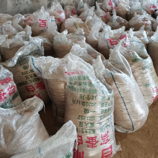 桂平市发酵饲料