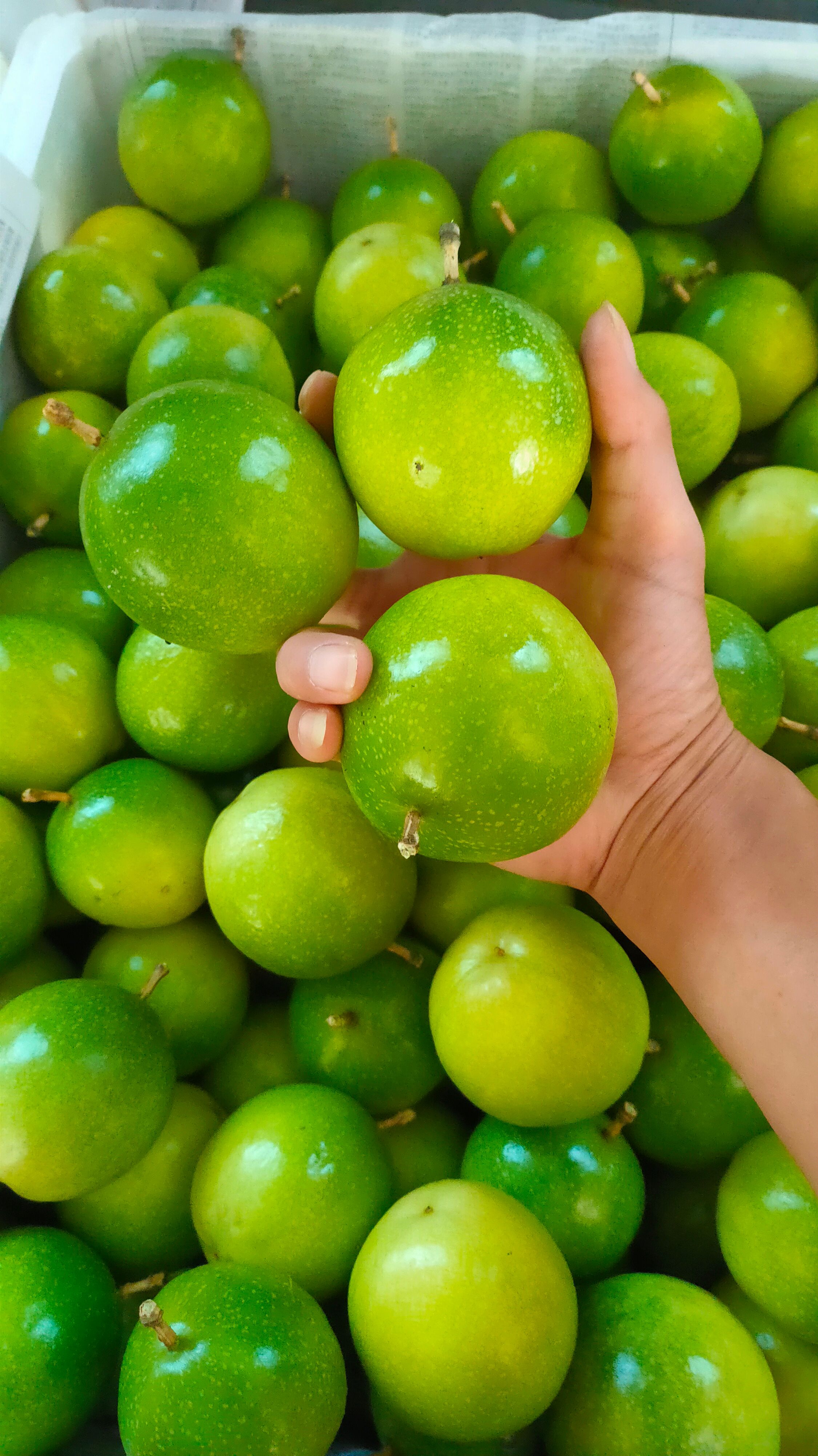 芭乐黄金百香果市场大量现货口感甜、产地直发，现摘现发