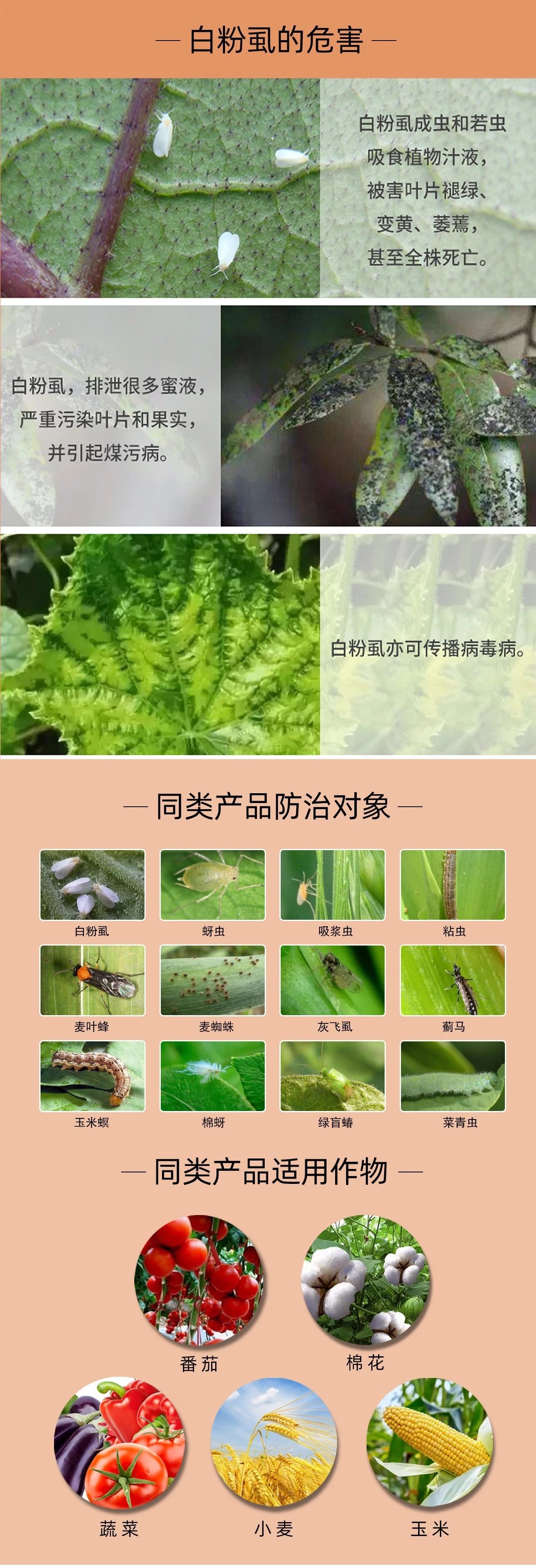 联菊啶虫脒农药6%联菊·啶虫脒番茄白粉虱跳甲联苯菊酯杀虫剂