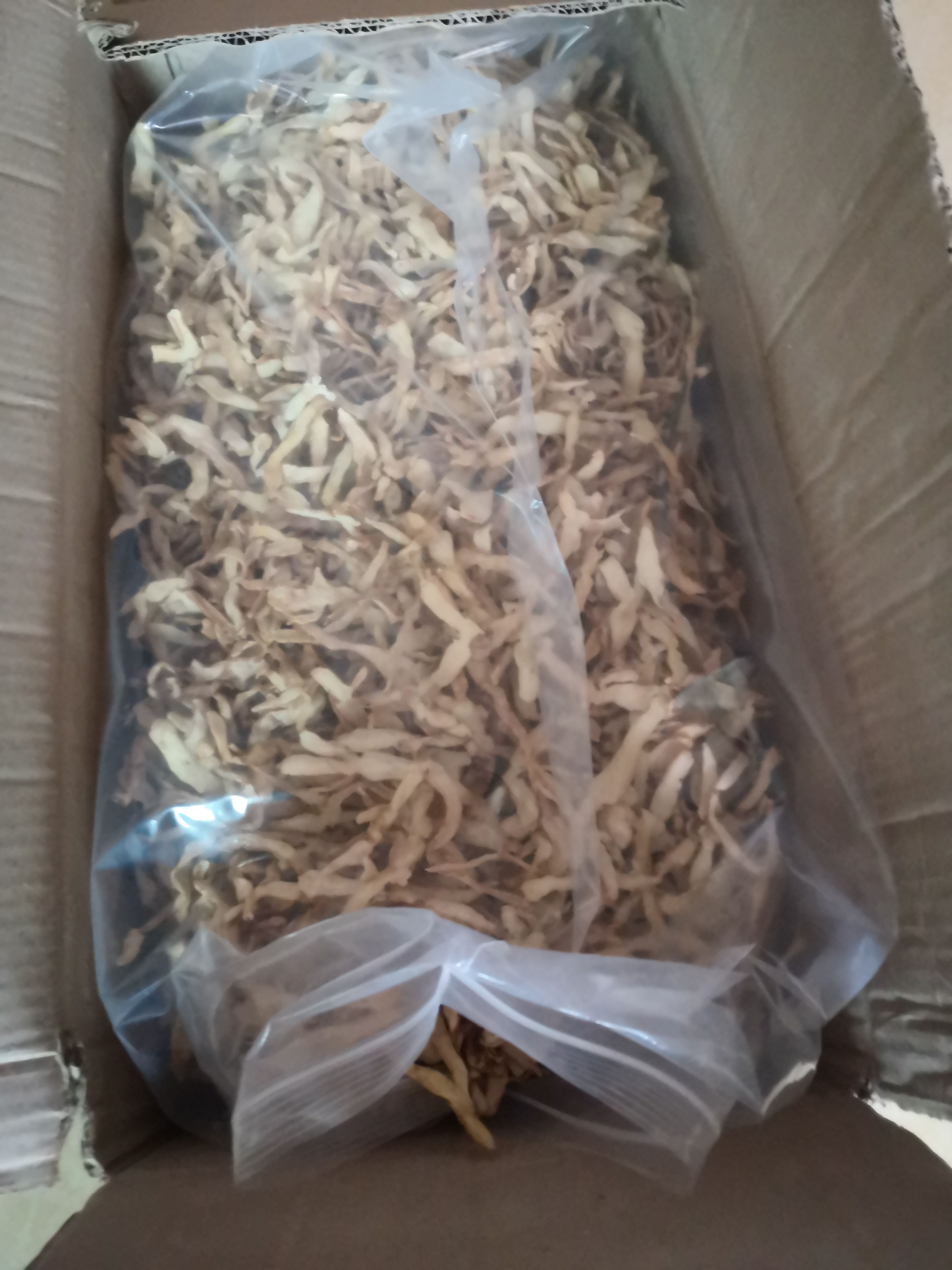 新货无硫玉竹筛选片